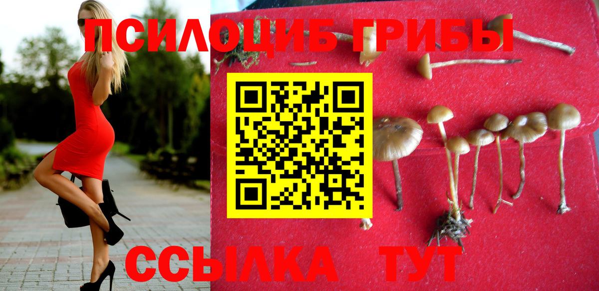 Галлюциногенные грибы мухоморы Тобольск